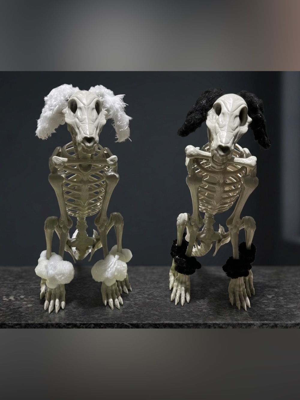 Poodle Pom-Trim Skeleton Pet set